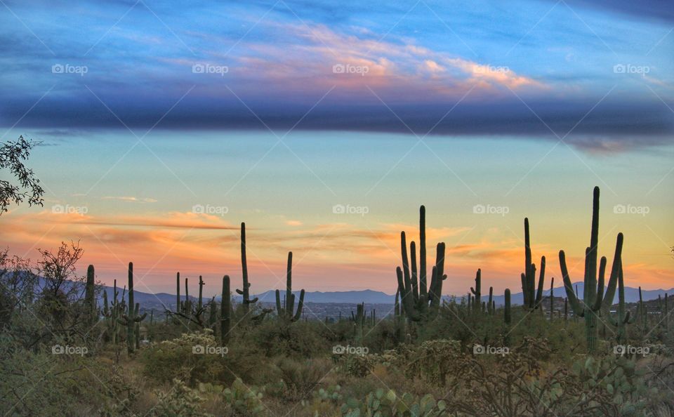 shades of orange and blue on the sky