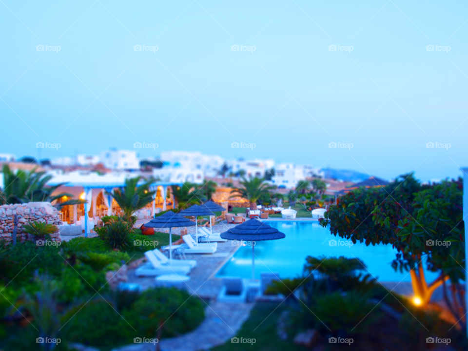 garden summer trees pool by tsaras70