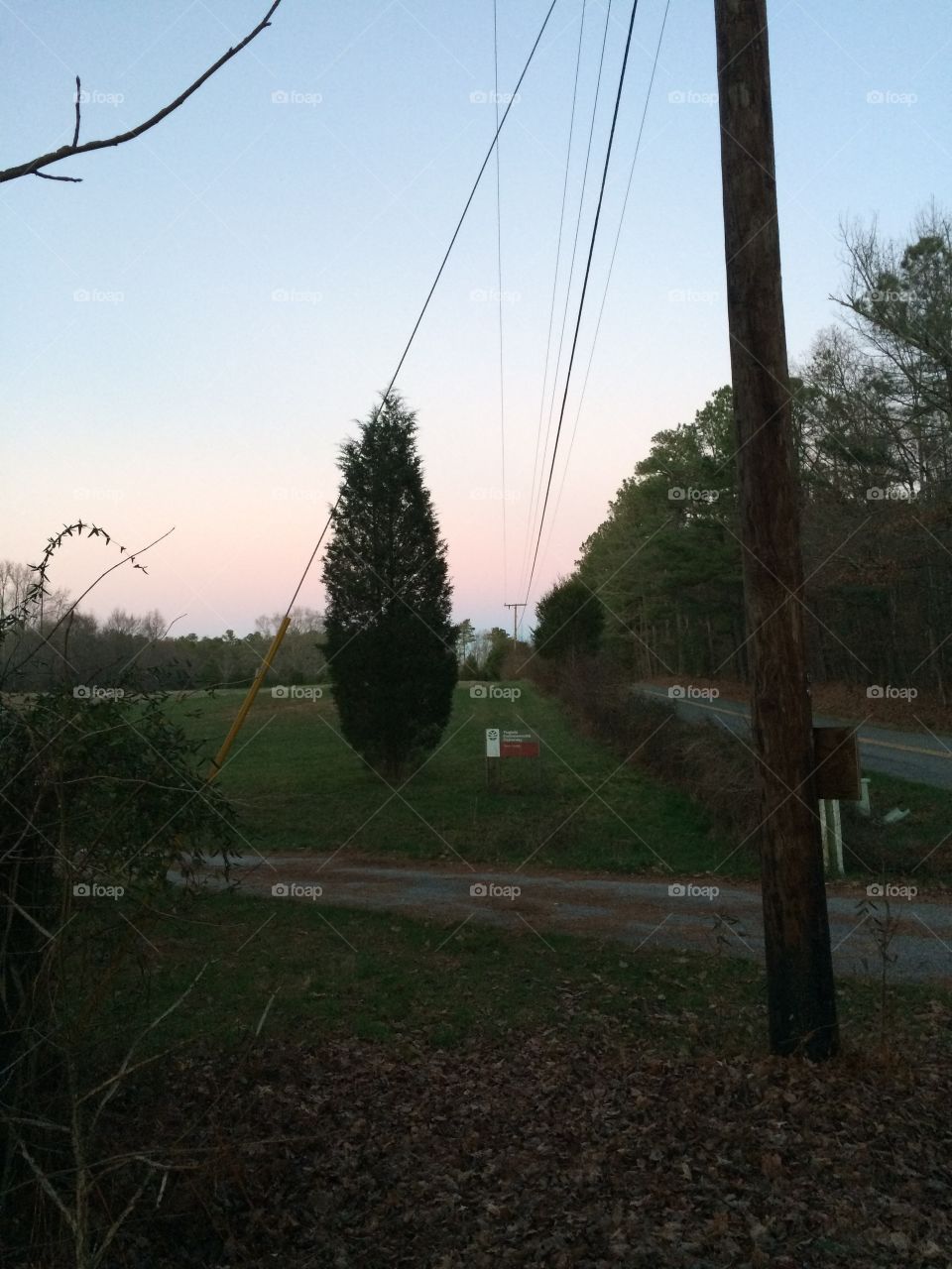 No Person, Tree, Landscape, Outdoors, Wood