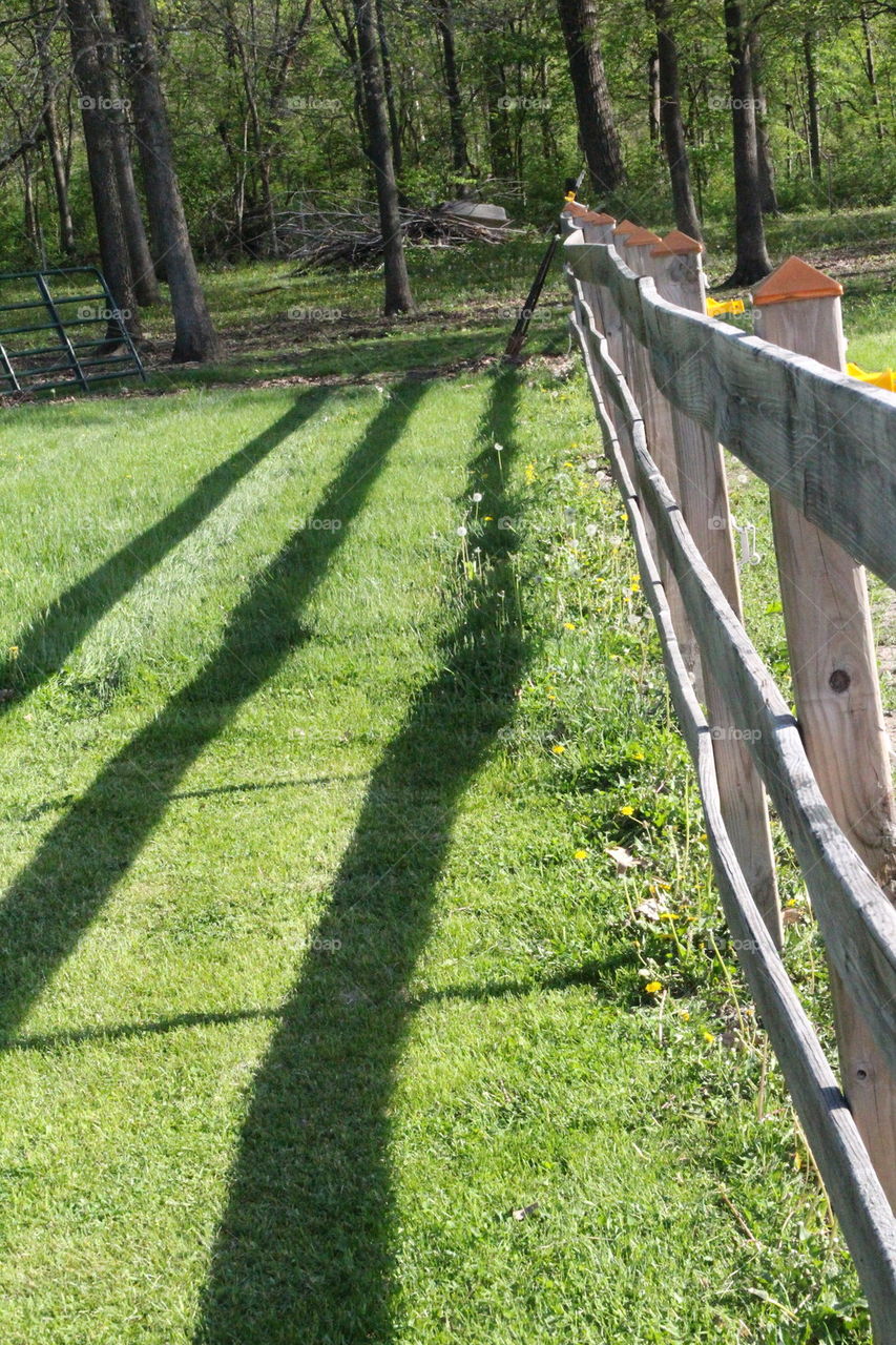fence line