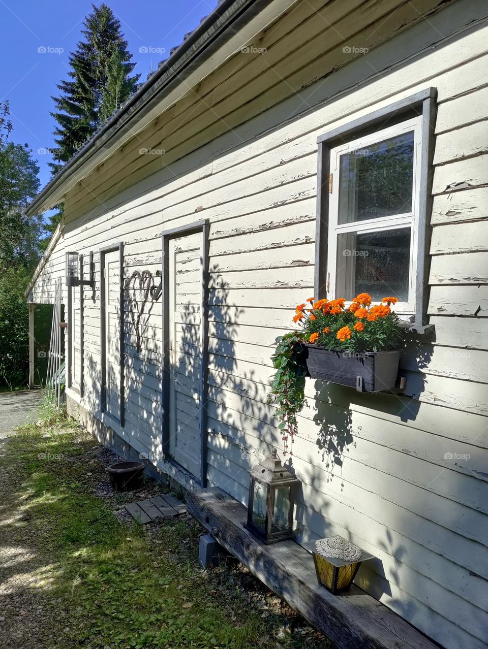 flowers on the wall