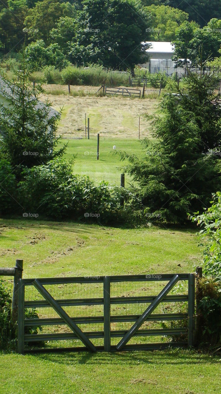 farmland. fields and gates