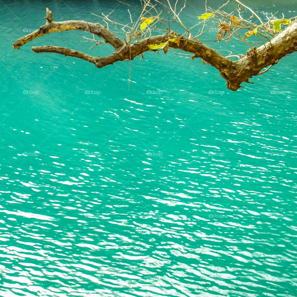 Türkisfarbenes Wasser, im Vordergrund ein Ast mit spärlichem Laub