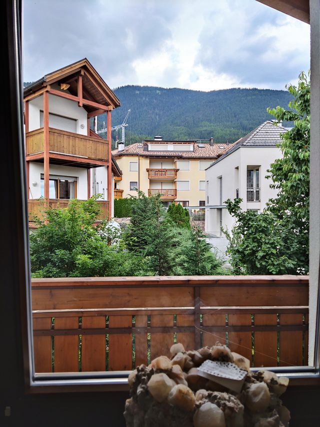 window view