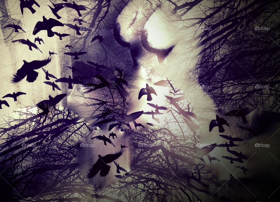 Creativity in photography 