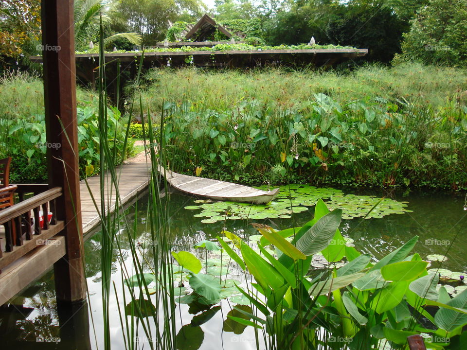 Cambodian garden