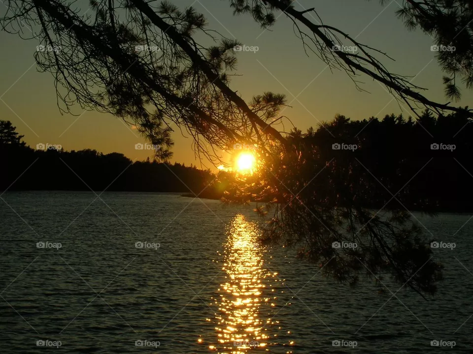 Sunset 