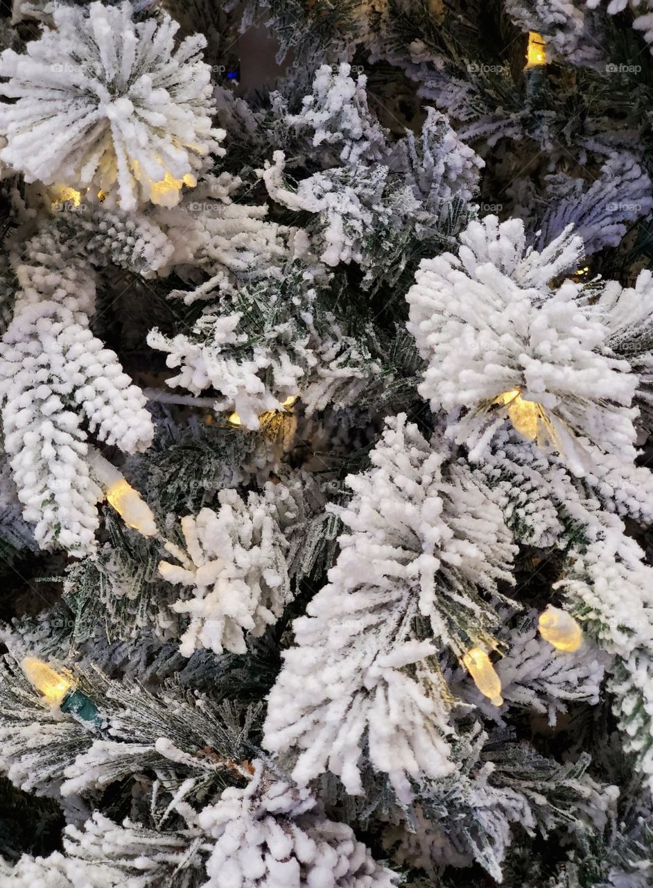 Christmas Tree of Snow and Lights