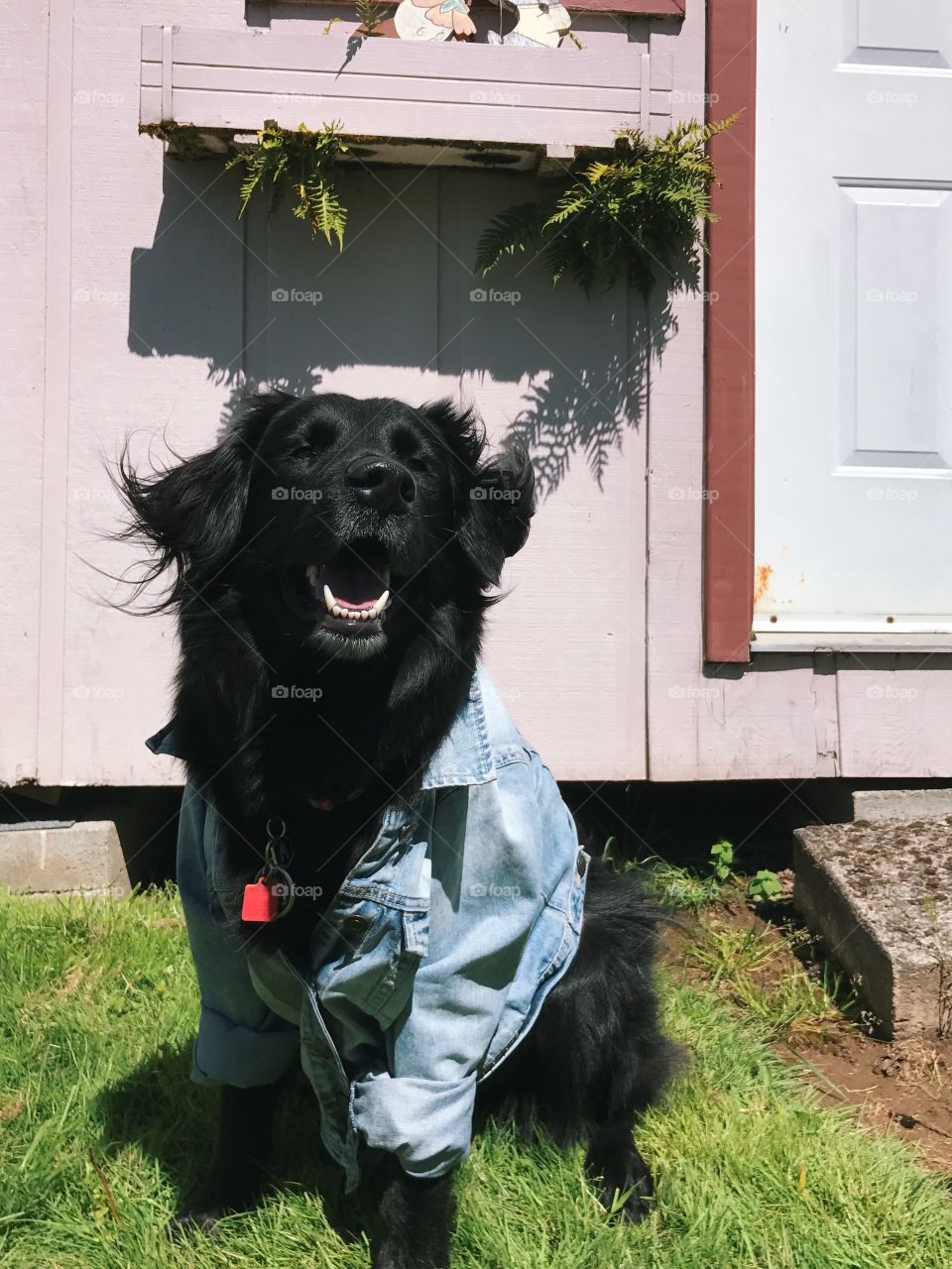 Vader's first modeling gig