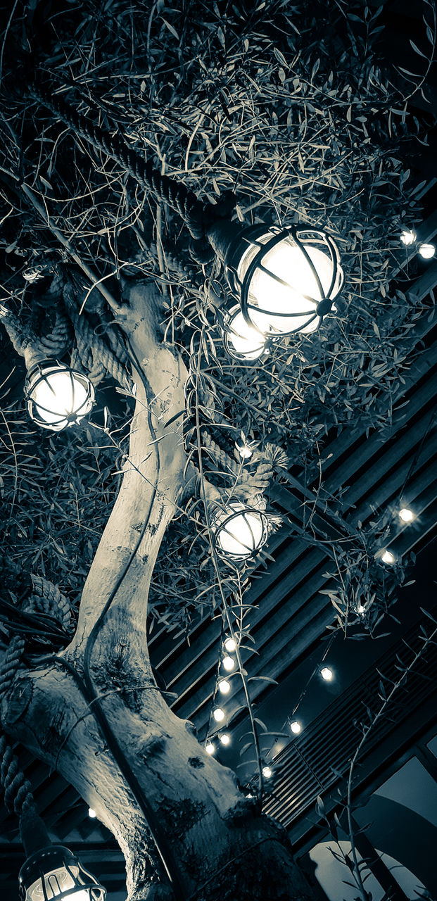 lights
