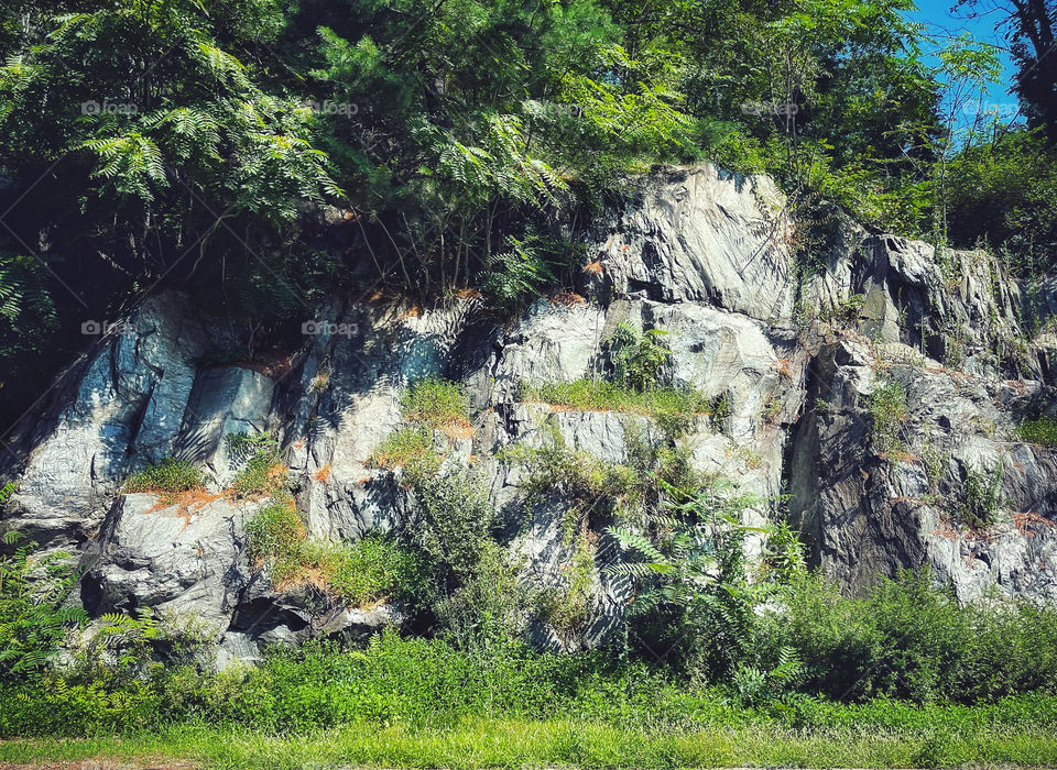 Rock outcrop amongst trees 