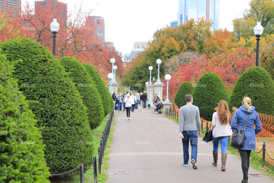 Is this fall in Boston?