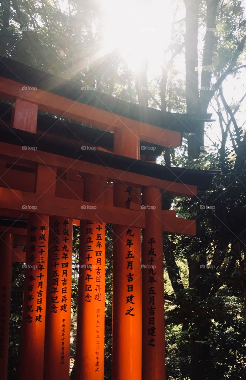 Prayers at the Tori Gates. Fushimi Inari Shrine