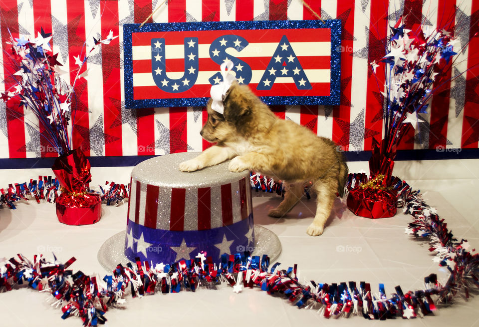 july 4th. getting ready for the 4th