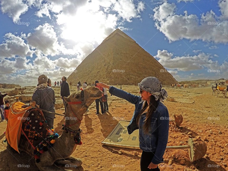 A Colombian tourist girl playing with a camel in-front of the Great Pyramid of Egypt, Giza, Egypt. 