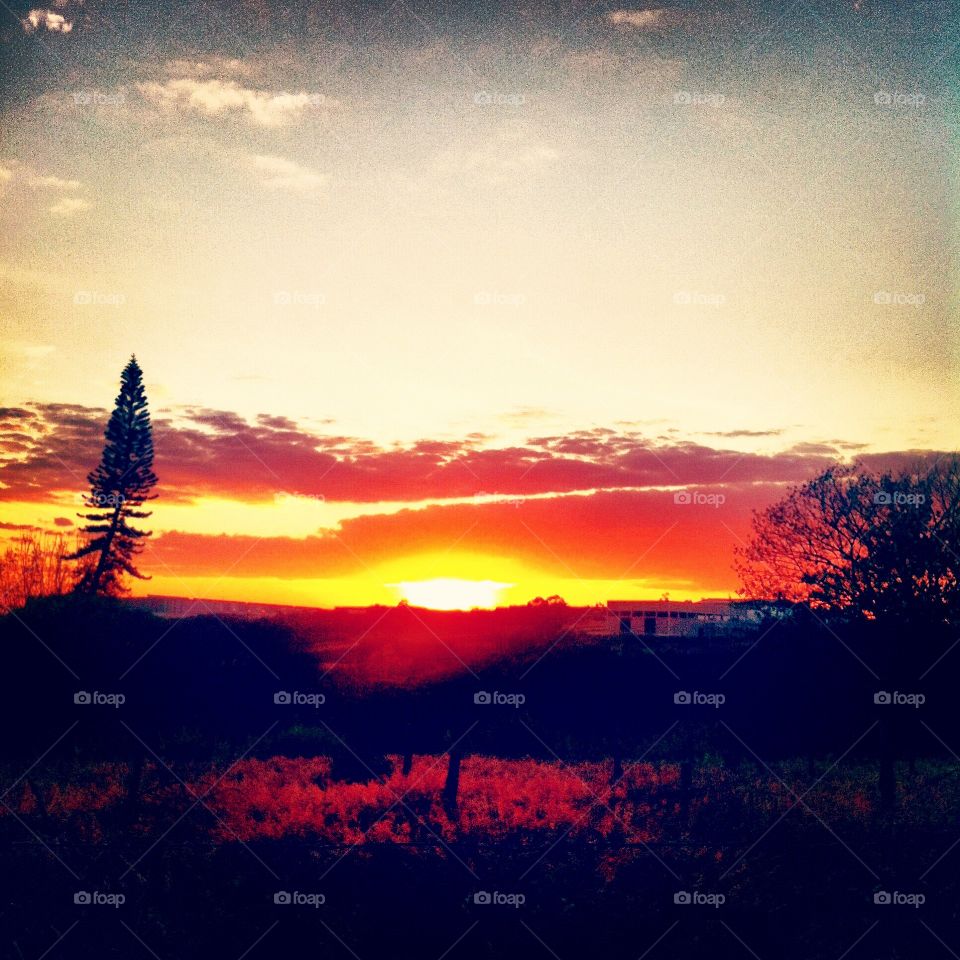 š
Desperte, #JundiaĆ, com seu lindo #horizonte.
Ćtimo #sĆ”bado a todos.
š
#sol #sun #sky #cĆ©u #photo #nature #morning #alvorada #natureza #fotografia #paisagem #inspiração #amanhecer #mobgraphy #mobgrafia #FotografeiEmJundiaĆ