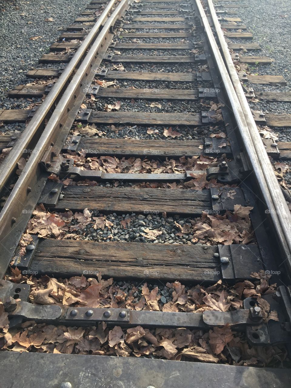 Train Tracks 