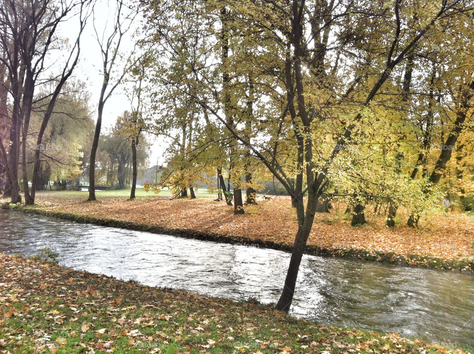 trees park fall autumn by Nikita80