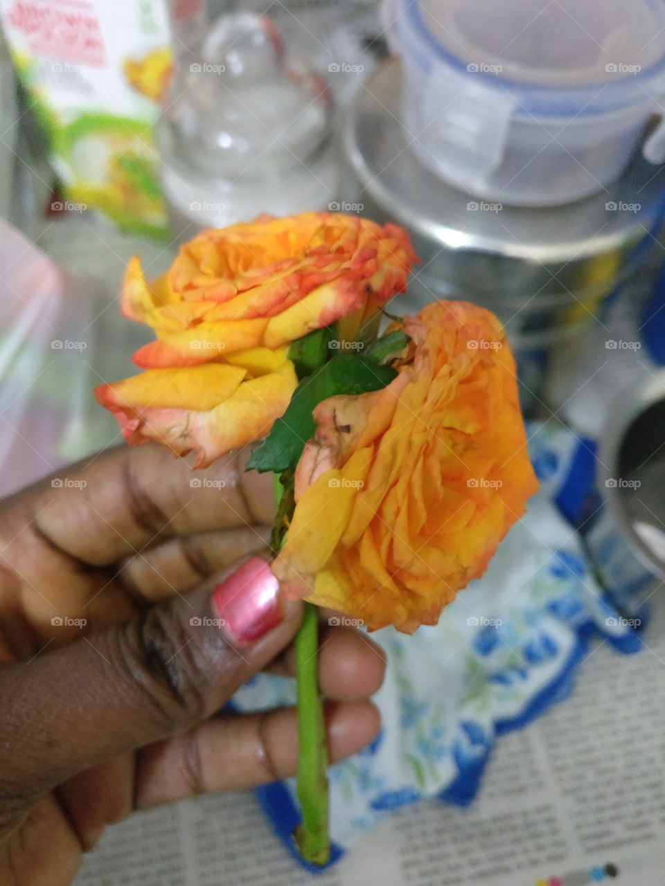 A rare thing.. 2 flowers on the same stalk