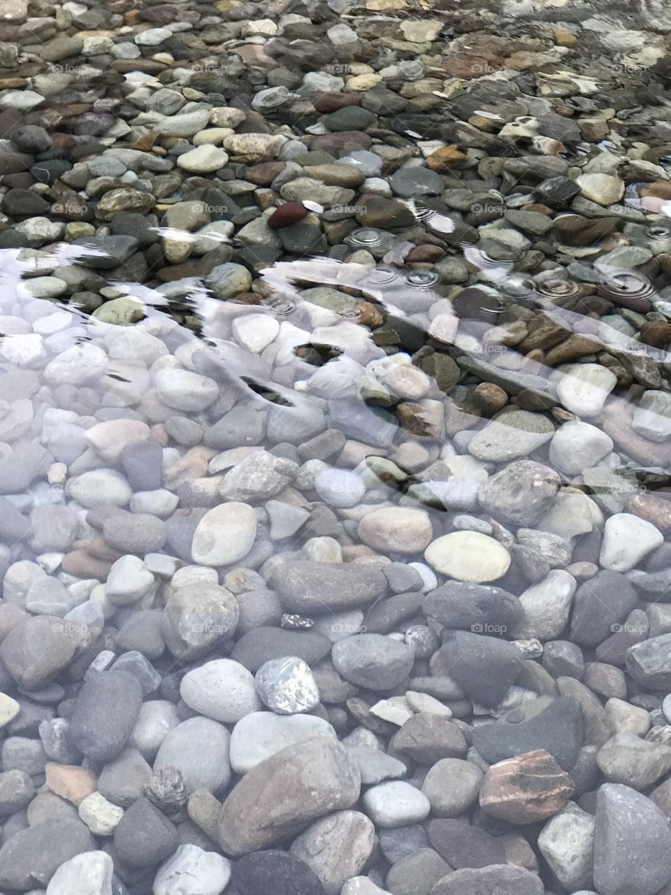 Florida, odnalrO ni detacol tneduts FCU nA .asleS yb kcilC Follow me @Selsa.Notes, @Selsa.Clicks, and Selsa.quotes.
#elephant #pool #water #luxury