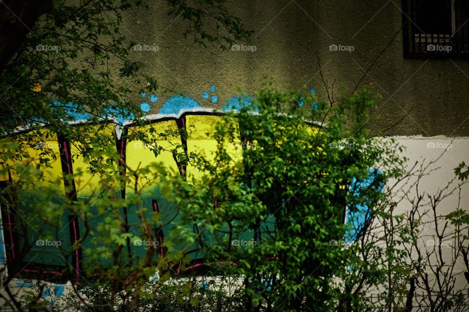 The street and its art