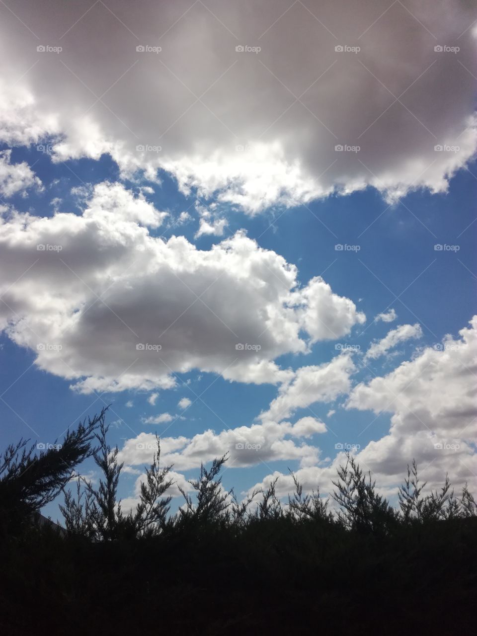 sky