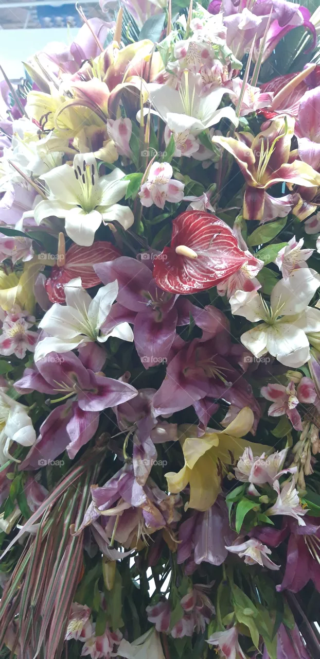 flower
