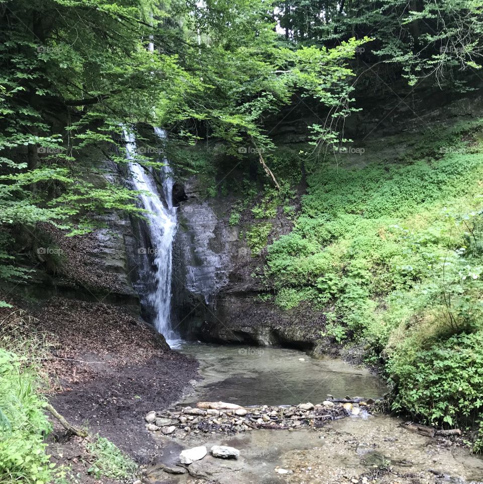 Swiss Forest Mutzbachfall