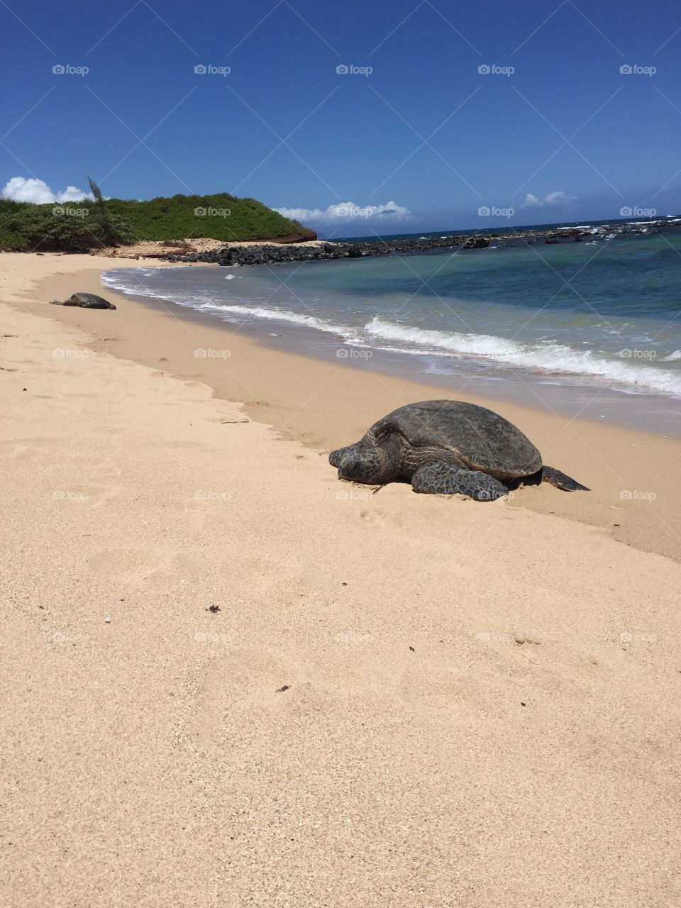 Beach, Sand, Water, Seashore, Sea