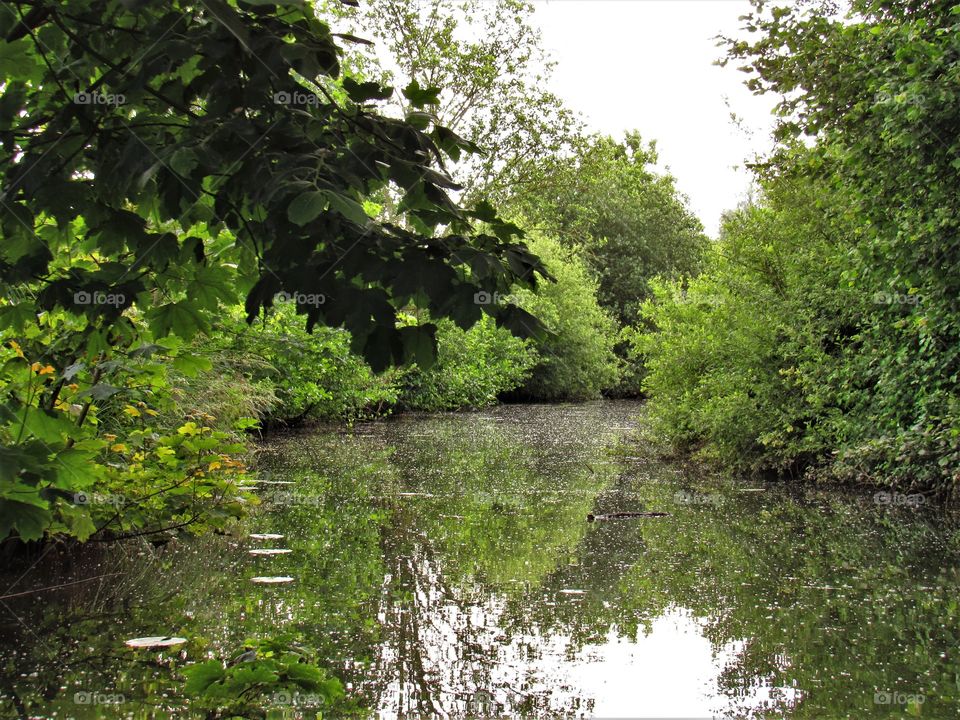 Marais de Saint Omer