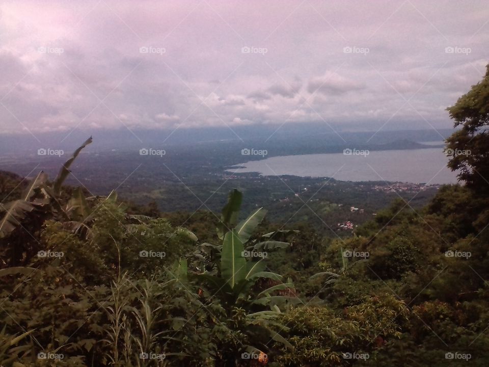 A view of small forest and lake. It's cloudy like it'll rain soon. It's an amazing view.
