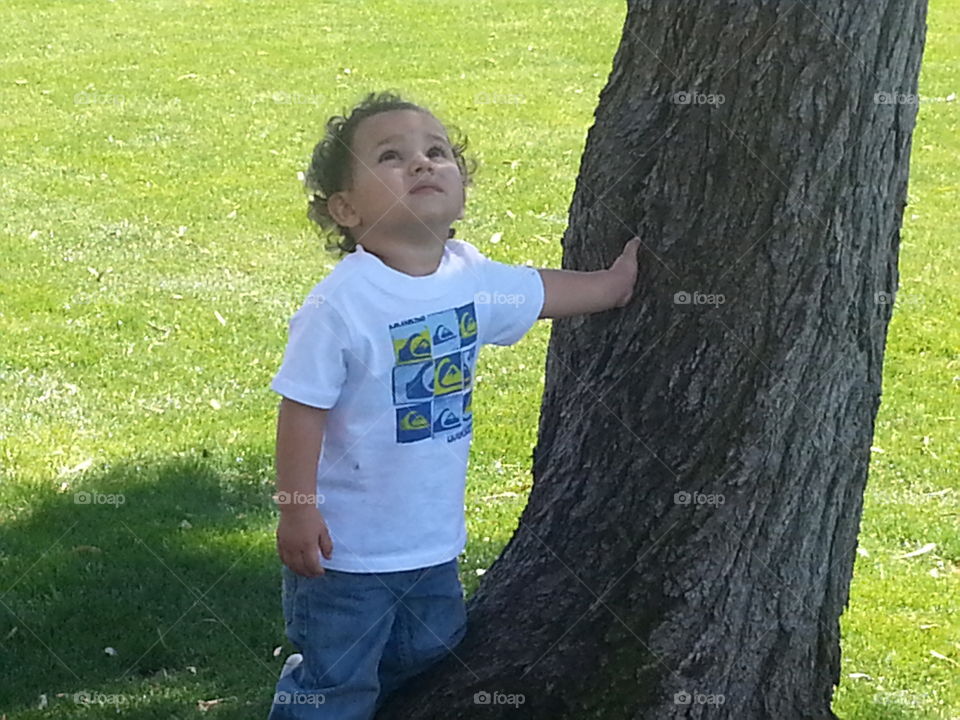 Boy and a big tree.