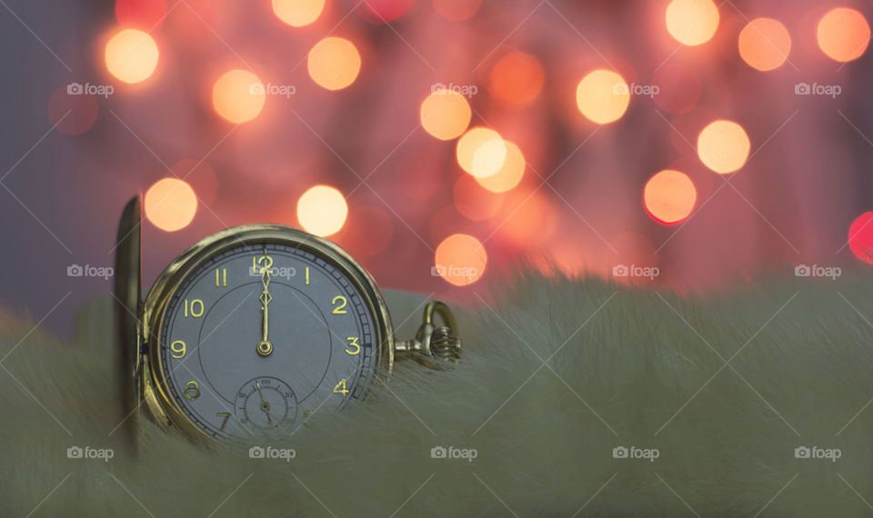 Close-up of stopwatch on fur