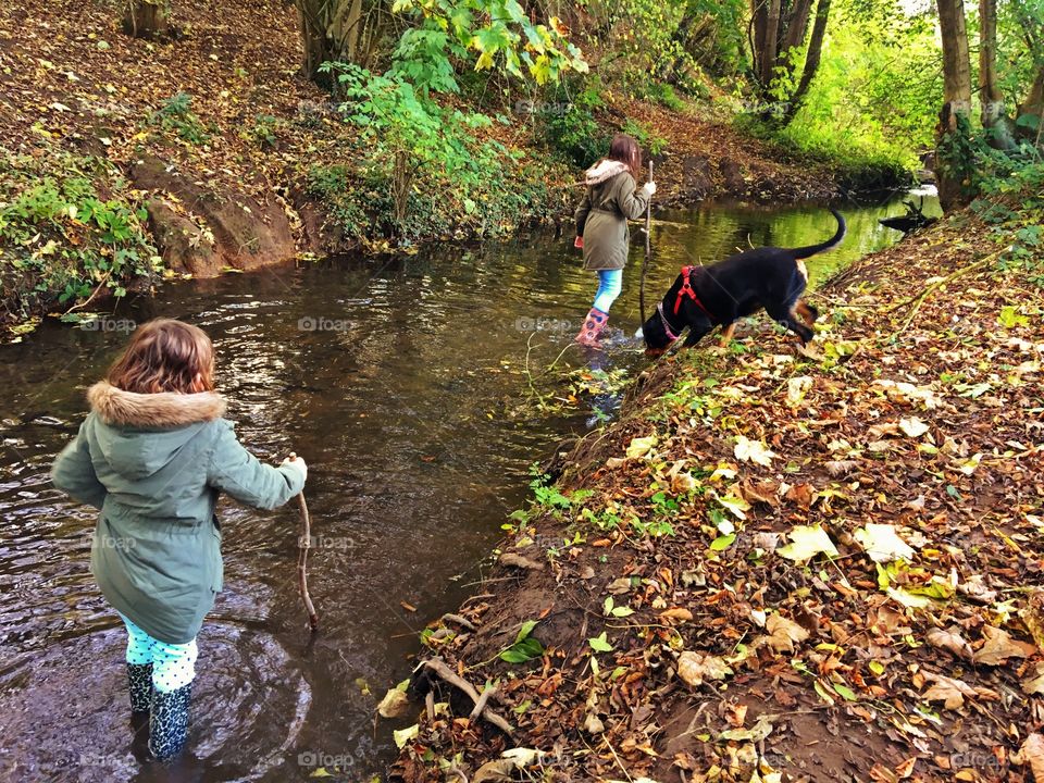 Children paddling in woodland stream