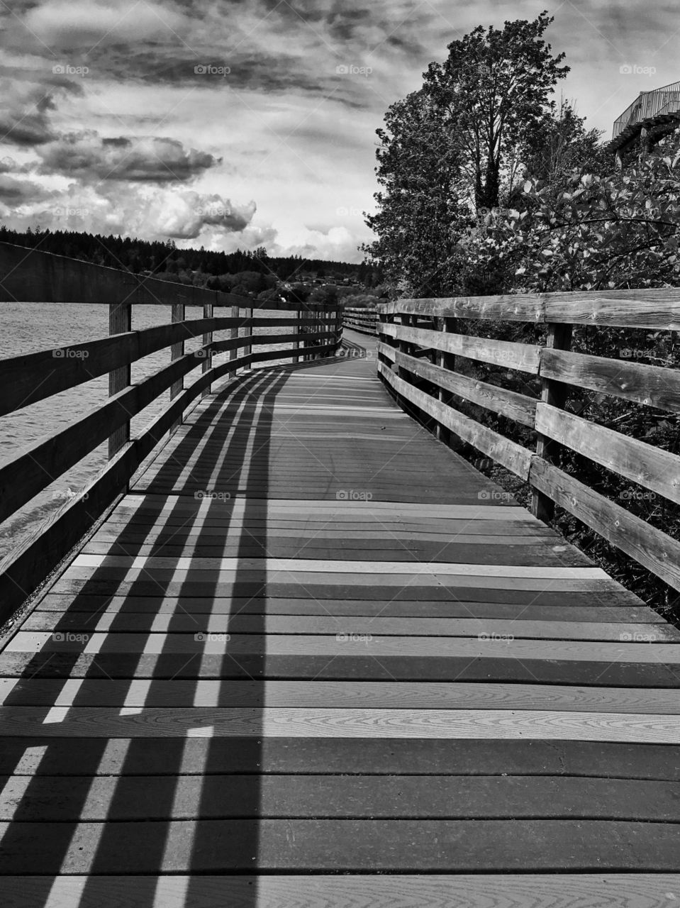 Wooden walkway