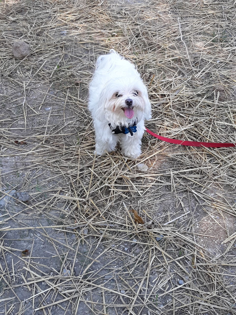 Does anyone want to take a walk? Here's Patrick at the lake, just smiling away.