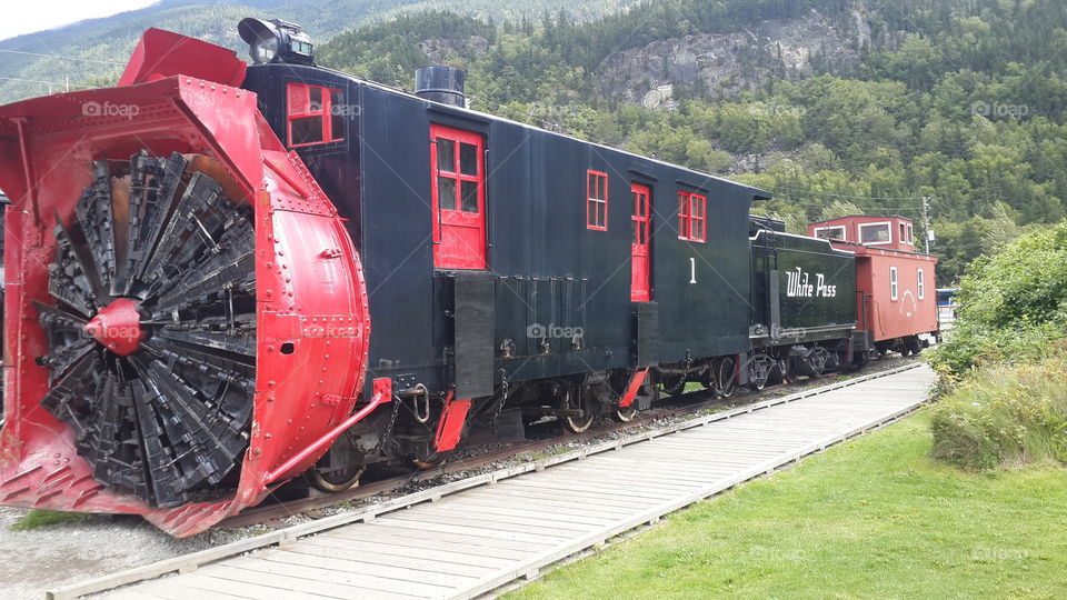The port of Skagway is a popular stop for cruise ships, and the tourist trade is a big part of the business of Skagway. The White Pass and Yukon Route narrow gauge railroad, part of the area's mining past, is now in operation purely for the tourist trade and runs throughout the summer months.
