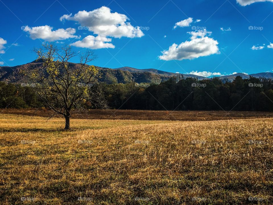 Scenic mountain view in Cades Cove located in Tennessee
