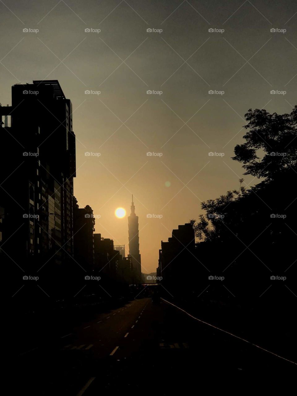 sunset in 101 building