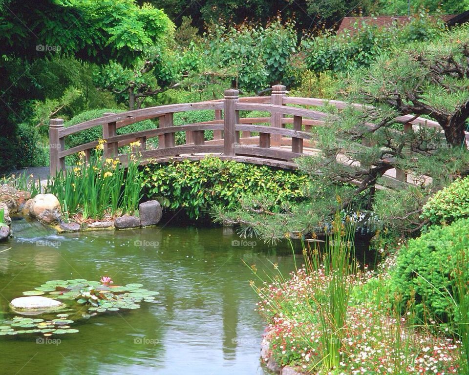 Hakone Garden