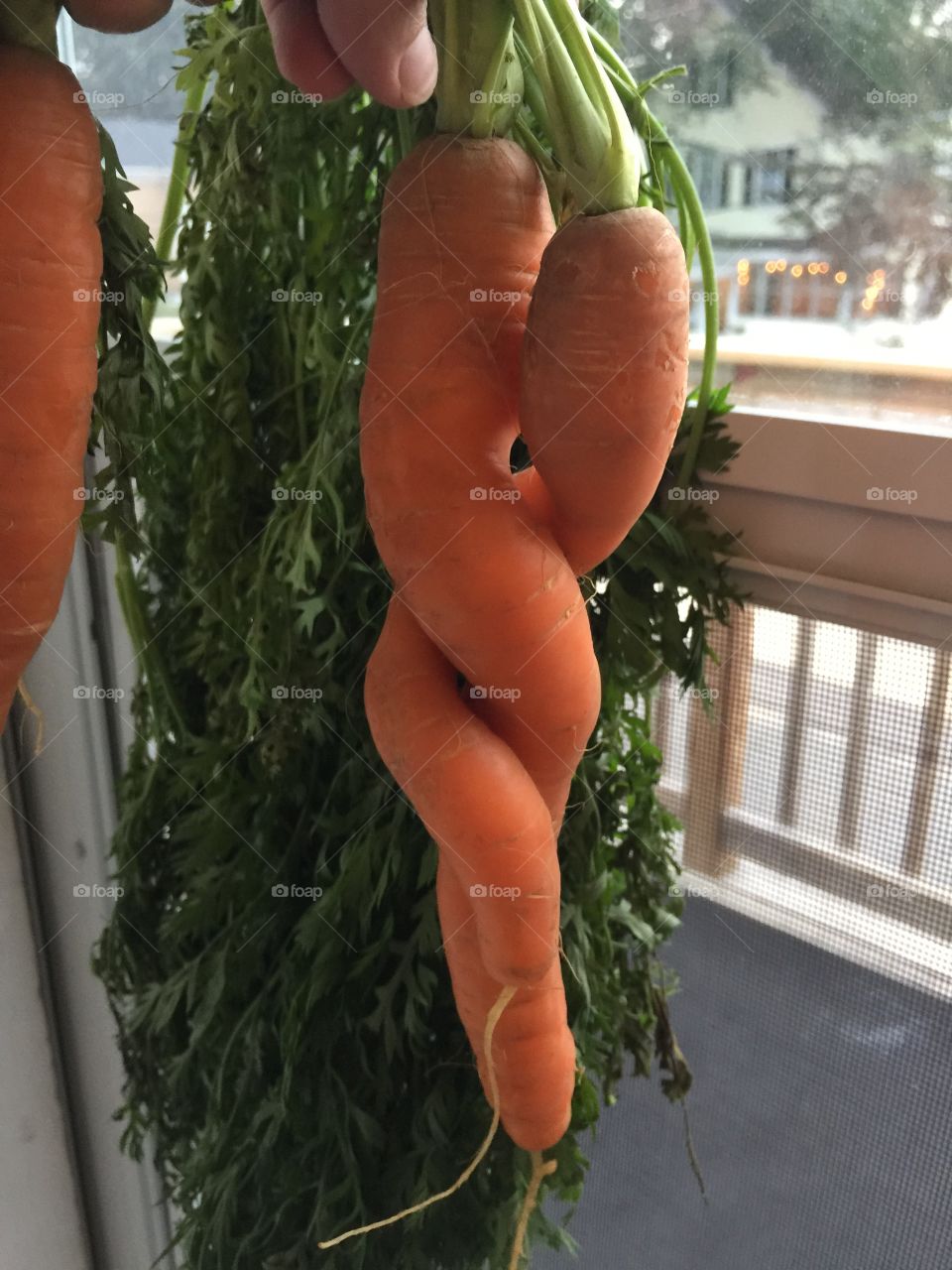 Strange vegetable 