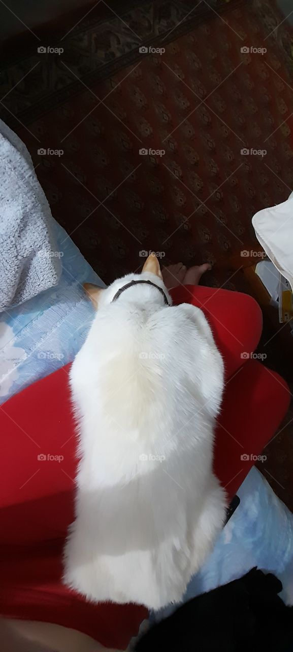 duomo de qualquer maneira