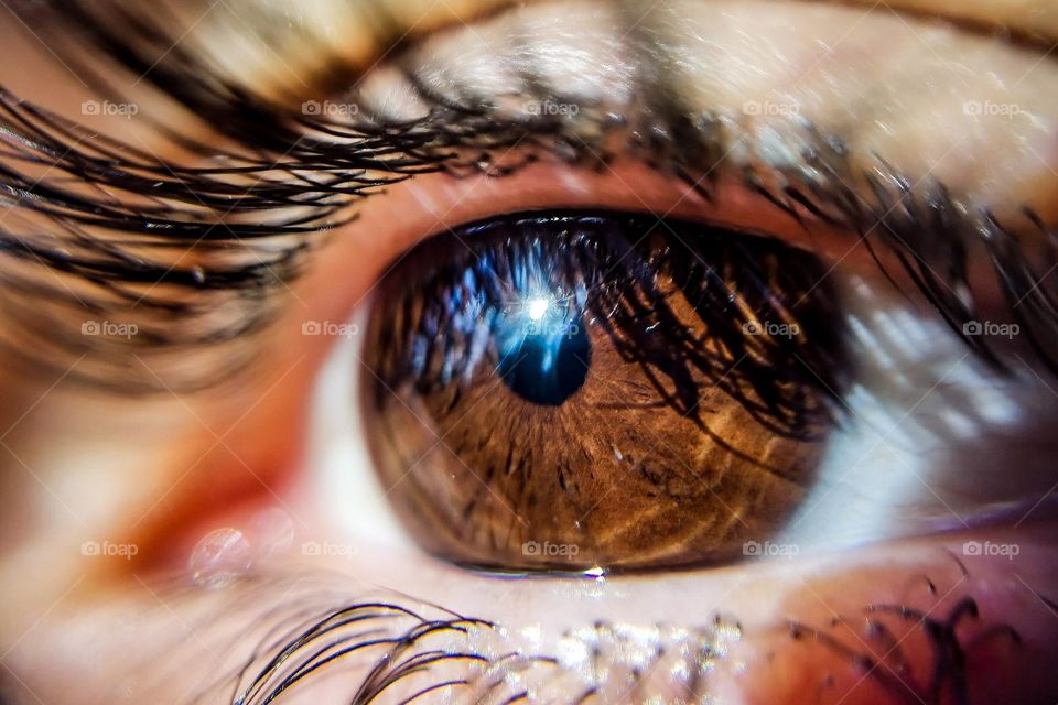 The whole world in an eye's iris