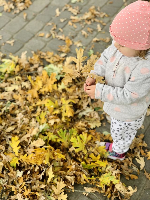 autumn🍂