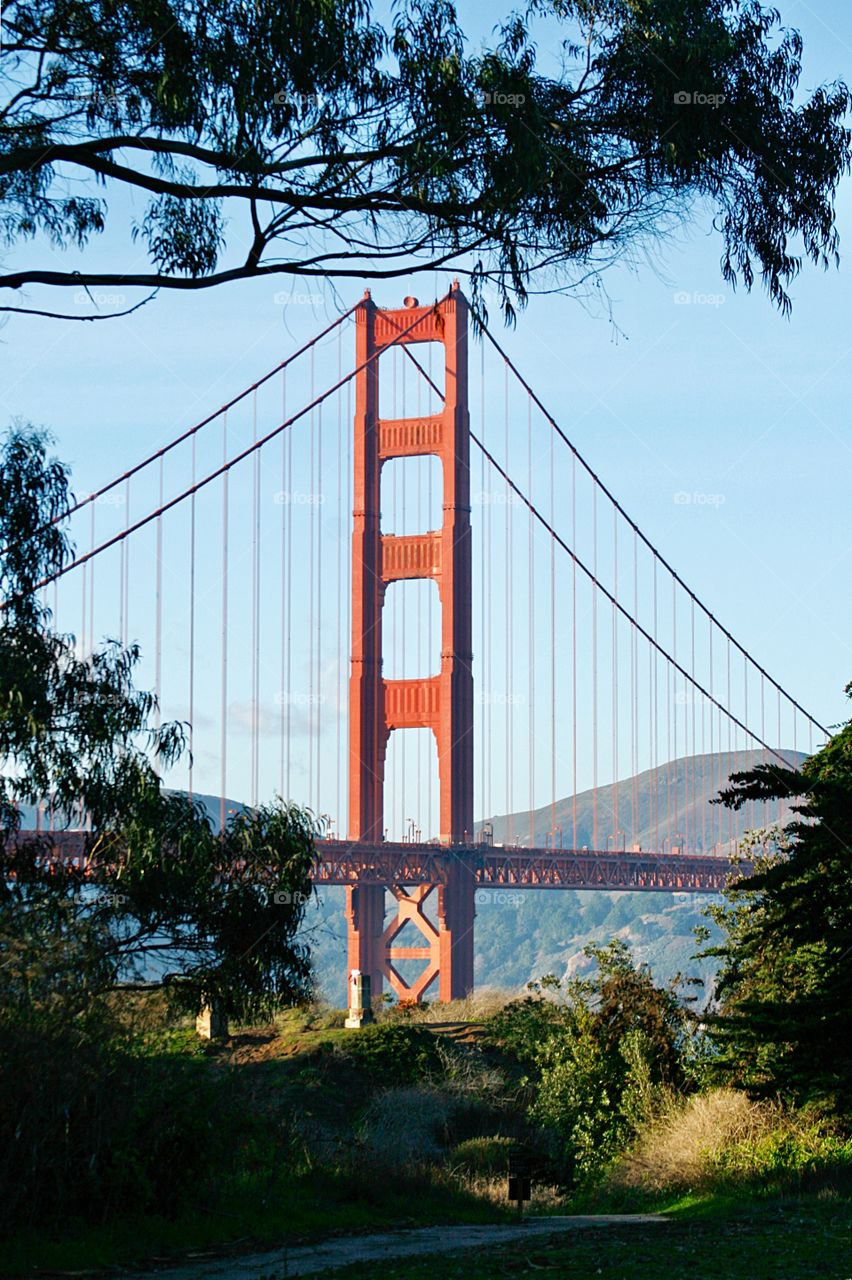 Golden Gate Bridge 