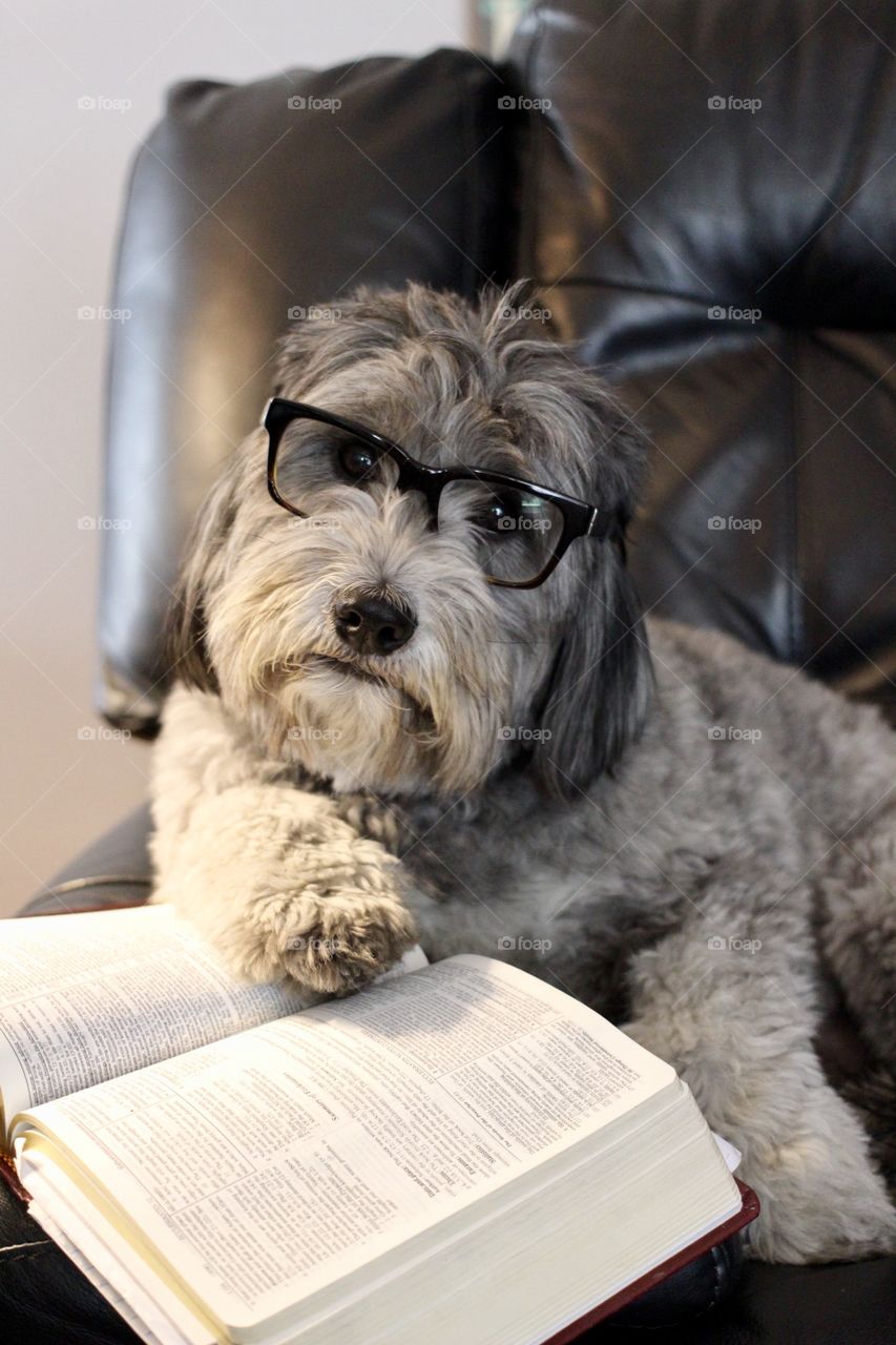 You have a question?