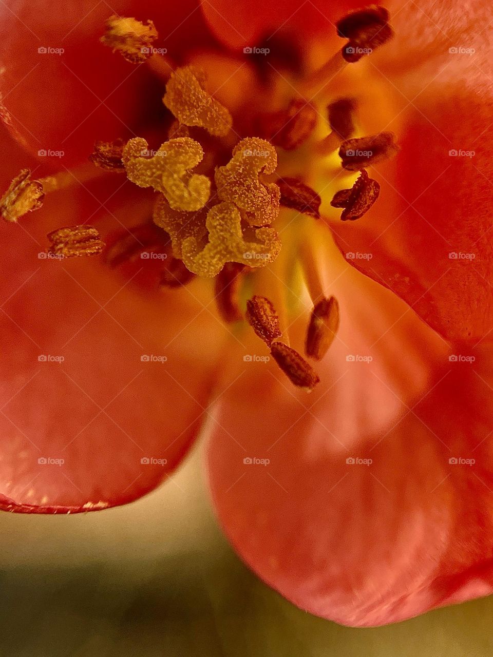 Orange you glad we have granola 