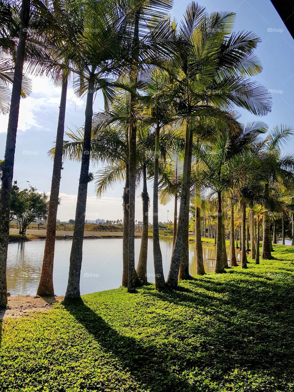 um convite a um piquenique