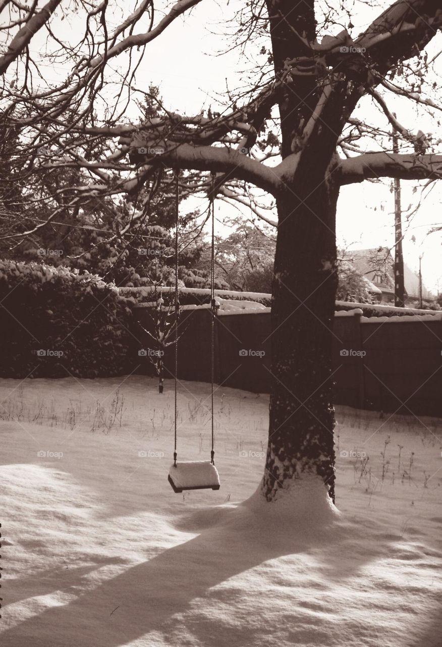 Oak tree swing in a private garden both covered with fresh snow in Maintenon