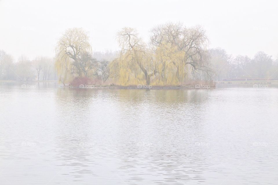 A pond in the park